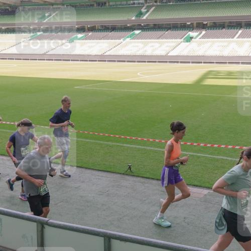 13.09.2026 - 21. swb-Marathon Bremen Michael Burmester http://msf.ph/oto/10342476 13.09.2026 13:25:51 Laufen im Stadion 202, 213, 294, 505, 530, 543, 645, 723, 815, 818, 833, 966, 1077, 1283, 1410, 1443, 1459, 1463, 1473, 1487, 1491, 1504, 1515, 1530, 1561, 1618, 1744, 1828, 1830, 1953, 2058, 2059, 2095, 2211, 2267, 2271, 2273, 2298, 2308, 2323, 2354, 2382, 2384, 2428, 2497, 2506, 2508, 2554, 2558, 2576, 2591, 2592, 2644, 2656, 2675, 2752, 2762, 2817, 2833, 2878, 2896, 2965, 2970, 2981, 3005, 3047, 3062, 3097, 3142, 3172, 3211, 3259, 3298, 3306, 3329, 3359, 3390, 3433, 3629, 3851 meine-sportfotos.de