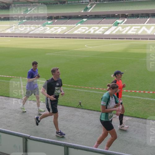 13.09.2026 - 21. swb-Marathon Bremen Michael Burmester http://msf.ph/oto/10343061 13.09.2026 13:27:08 Laufen im Stadion 186, 202, 357, 364, 390, 530, 597, 645, 726, 833, 888, 1077, 1283, 1412, 1473, 1487, 1530, 1608, 1618, 1700, 1744, 1769, 1828, 1961, 1984, 2236, 2273, 2309, 2382, 2384, 2388, 2404, 2428, 2502, 2507, 2508, 2542, 2558, 2576, 2582, 2592, 2656, 2675, 2725, 2748, 2817, 2875, 2876, 2923, 2965, 2970, 3045, 3047, 3050, 3062, 3073, 3084, 3097, 3172, 3184, 3219, 3359, 3433, 3540, 3592, 3629, 3756, 3851, 3885, 3907, 3978, 4457, 4660 meine-sportfotos.de