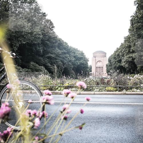 13.09.2026 - Stadtparktriathlon H.Heesch http://msf.ph/oto/10344080 13.09.2026 10:47:06 Radfahren 430, 473, 520, 572 meine-sportfotos.de