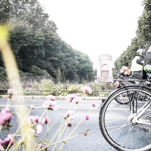 13.09.2026 - Stadtparktriathlon H.Heesch http://msf.ph/oto/10344498 13.09.2026 10:49:59 Radfahren 423, 447 meine-sportfotos.de