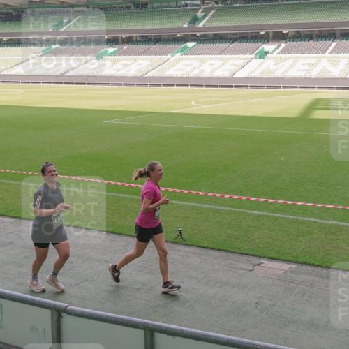 13.09.2026 - 21. swb-Marathon Bremen Michael Burmester http://msf.ph/oto/10345283 13.09.2026 13:31:56 Laufen im Stadion 122, 224, 295, 344, 350, 386, 487, 490, 617, 639, 690, 806, 840, 965, 1114, 1133, 1142, 1310, 1314, 1326, 1329, 1427, 1529, 1775, 1801, 1869, 1892, 1897, 1904, 1923, 2216, 2230, 2231, 2253, 2270, 2274, 2320, 2344, 2368, 2372, 2374, 2456, 2514, 2523, 2539, 2556, 2629, 2637, 2643, 2649, 2677, 2719, 2726, 2848, 2877, 2918, 2945, 2952, 2994, 3038, 3094, 3101, 3140, 3223, 3350, 3379, 3401, 3426, 3572, 3644, 3723, 3736, 3746, 3873, 3876, 3918, 3944, 357 meine-sportfotos.de