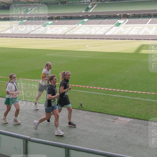 13.09.2026 - 21. swb-Marathon Bremen Michael Burmester http://msf.ph/oto/10345291 13.09.2026 13:31:59 Laufen im Stadion 122, 224, 295, 344, 350, 386, 487, 490, 617, 639, 690, 786, 806, 840, 965, 1114, 1133, 1142, 1310, 1314, 1326, 1329, 1377, 1427, 1529, 1775, 1801, 1869, 1892, 1897, 1904, 1923, 2216, 2230, 2231, 2253, 2270, 2274, 2320, 2344, 2368, 2372, 2374, 2456, 2514, 2523, 2539, 2556, 2629, 2637, 2643, 2649, 2677, 2719, 2726, 2769, 2848, 2877, 2918, 2945, 2952, 2994, 3038, 3094, 3101, 3140, 3223, 3350, 3379, 3401, 3426, 3572, 3644, 3723, 3736, 3746, 3873, 3918, 3944, 357 meine-sportfotos.de