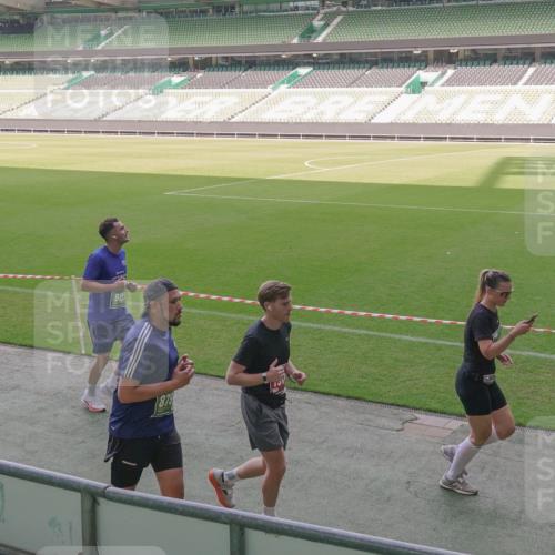 13.09.2026 - 21. swb-Marathon Bremen Michael Burmester http://msf.ph/oto/10345491 13.09.2026 13:32:25 Laufen im Stadion 295, 344, 350, 386, 487, 490, 617, 690, 786, 787, 840, 965, 1133, 1142, 1292, 1310, 1314, 1326, 1329, 1377, 1427, 1591, 1592, 1775, 1801, 1869, 1892, 1897, 1904, 1923, 2077, 2230, 2231, 2253, 2270, 2274, 2320, 2344, 2374, 2456, 2514, 2523, 2539, 2556, 2616, 2630, 2643, 2649, 2677, 2726, 2769, 2848, 2877, 2945, 2952, 3014, 3038, 3094, 3140, 3223, 3350, 3379, 3401, 3426, 3572, 3601, 3644, 3723, 3736, 3746, 3901, 3918, 3944 meine-sportfotos.de