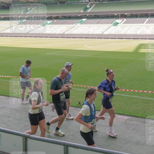 13.09.2026 - 21. swb-Marathon Bremen Michael Burmester http://msf.ph/oto/10345623 13.09.2026 13:32:44 Laufen im Stadion 155, 295, 344, 350, 386, 487, 490, 594, 617, 690, 765, 786, 787, 965, 1001, 1051, 1133, 1142, 1292, 1310, 1326, 1329, 1377, 1427, 1591, 1592, 1801, 1869, 1892, 1897, 1904, 1923, 2077, 2132, 2226, 2230, 2231, 2253, 2270, 2274, 2320, 2344, 2374, 2399, 2400, 2456, 2514, 2523, 2539, 2556, 2616, 2630, 2649, 2718, 2726, 2769, 2848, 2945, 3014, 3038, 3140, 3223, 3350, 3379, 3426, 3572, 3601, 3614, 3644, 3736, 3746, 3797, 3901, 3918, 3944 meine-sportfotos.de
