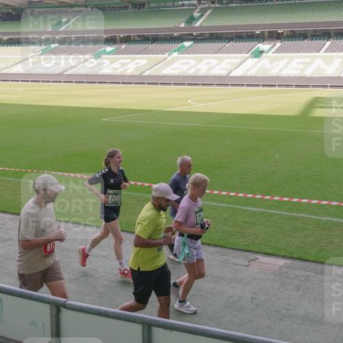13.09.2026 - 21. swb-Marathon Bremen Michael Burmester http://msf.ph/oto/10345725 13.09.2026 13:33:05 Laufen im Stadion 155, 344, 350, 386, 428, 490, 594, 617, 690, 765, 786, 787, 1001, 1051, 1098, 1133, 1142, 1292, 1326, 1377, 1427, 1557, 1591, 1592, 1661, 1760, 1801, 1869, 1897, 1923, 1996, 2077, 2132, 2226, 2230, 2231, 2253, 2270, 2274, 2320, 2344, 2374, 2399, 2400, 2456, 2479, 2514, 2515, 2523, 2539, 2543, 2556, 2616, 2630, 2649, 2718, 2757, 2769, 2787, 2848, 2945, 2982, 3014, 3140, 3223, 3350, 3379, 3443, 3503, 3572, 3577, 3601, 3614, 3644, 3736, 3746, 3797, 3875, 3901, 3911, 3952 meine-sportfotos.de