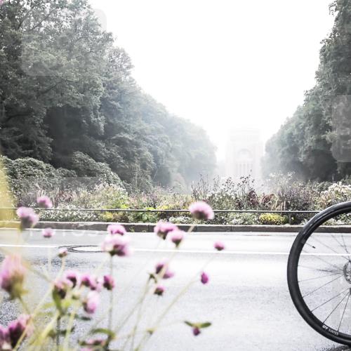 13.09.2026 - Stadtparktriathlon H.Heesch http://msf.ph/oto/10345807 13.09.2026 09:29:48 Radfahren 104, 117, 118, 128, 142, 161, 188, 201, 203 meine-sportfotos.de