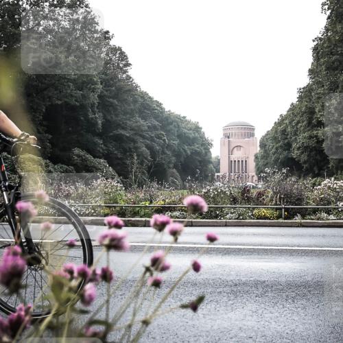 13.09.2026 - Stadtparktriathlon H.Heesch http://msf.ph/oto/10346302 13.09.2026 11:02:06 Radfahren 416, 524, 589 meine-sportfotos.de
