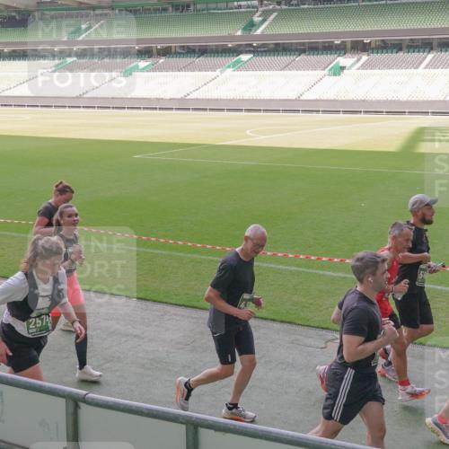 13.09.2026 - 21. swb-Marathon Bremen Michael Burmester http://msf.ph/oto/10346334 13.09.2026 13:34:31 Laufen im Stadion 155, 170, 193, 368, 428, 462, 496, 594, 679, 709, 765, 916, 1001, 1026, 1048, 1051, 1098, 1280, 1321, 1396, 1444, 1553, 1557, 1560, 1607, 1661, 1703, 1760, 1772, 1784, 1827, 1965, 1992, 1996, 2077, 2132, 2226, 2335, 2338, 2399, 2400, 2451, 2479, 2511, 2515, 2543, 2641, 2718, 2735, 2757, 2787, 2791, 2894, 2982, 3179, 3191, 3345, 3406, 3443, 3503, 3547, 3577, 3614, 3660, 3708, 3709, 3720, 3797, 3875, 3904, 3911, 3914, 3952, 4001, 4014, 4500, 4546, 4561, 5151 meine-sportfotos.de