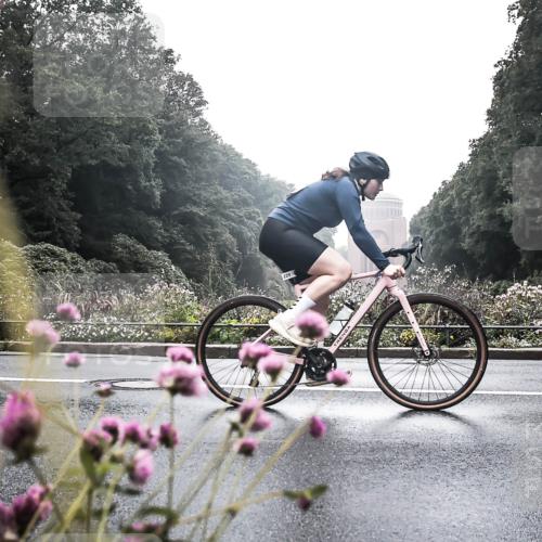 13.09.2026 - Stadtparktriathlon H.Heesch http://msf.ph/oto/10347262 13.09.2026 10:02:22 Radfahren 229, 249, 274, 309, 332, 336 meine-sportfotos.de