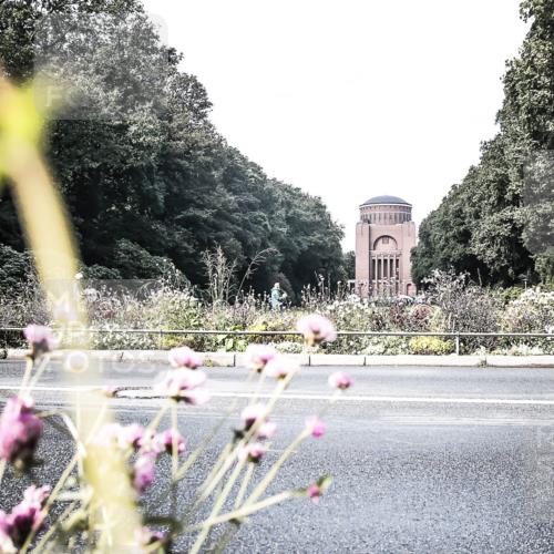 13.09.2026 - Stadtparktriathlon H.Heesch http://msf.ph/oto/10347972 13.09.2026 11:18:56 Radfahren 685, 694, 710, 778 meine-sportfotos.de