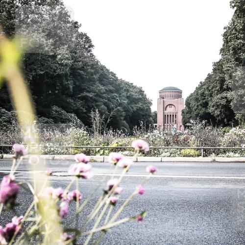 13.09.2026 - Stadtparktriathlon H.Heesch http://msf.ph/oto/10347994 13.09.2026 11:19:00 Radfahren 524, 685, 694, 710, 721, 726, 778 meine-sportfotos.de