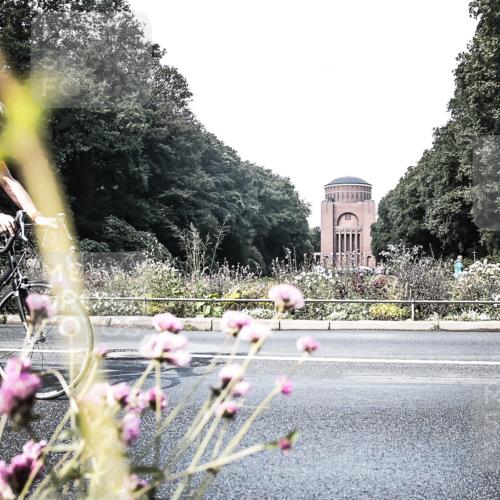 13.09.2026 - Stadtparktriathlon H.Heesch http://msf.ph/oto/10348020 13.09.2026 11:19:03 Radfahren 524, 710, 721, 726, 778, 817 meine-sportfotos.de