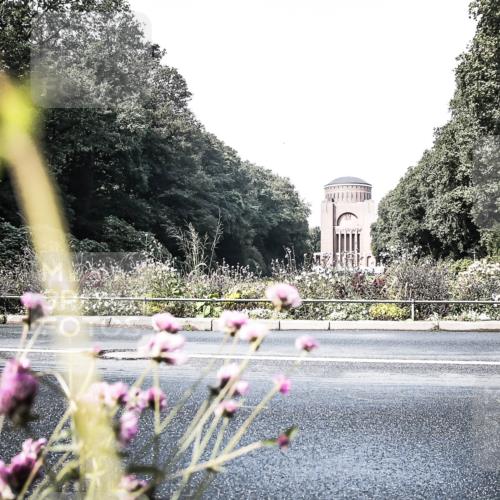 13.09.2026 - Stadtparktriathlon H.Heesch http://msf.ph/oto/10348573 13.09.2026 11:24:40 Radfahren 672, 722, 739, 762, 795, 1799 meine-sportfotos.de
