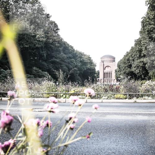 13.09.2026 - Stadtparktriathlon H.Heesch http://msf.ph/oto/10348653 13.09.2026 11:25:11 Radfahren 639, 663, 684, 735, 736, 770, 772, 819 meine-sportfotos.de