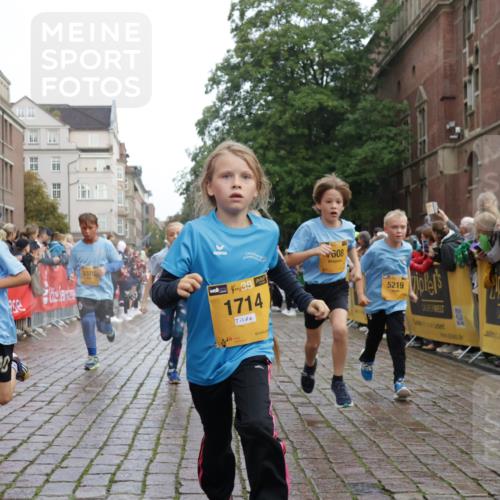 13.09.2026 - Kiel Lauf Yannick Fuchs http://msf.ph/oto/10350180 13.09.2026 08:57:24 Ziel 700, 1769, 2128, 2129, 3382, 4834, 7478, 10892, 81, 482, 653, 1222, 2384, 2479, 2543, 3034, 3161, 3305, 3665, 4558, 4680, 4901, 4908, 5003, 5223, 5333, 5340, 5719, 5809, 6361, 6807, 7559, 7752, 7927, 8094, 8341, 8424, 9156, 9307, 9542, 9564, 9826, 9940, 10042, 10321, 10603, 11423, 11495, 11558, 11986, 12062, 12215, 12455, 12512, 160, 406, 689, 1051, 1546, 1714, 2439, 3359, 3375, 4182, 4321, 4382, 4383, 5006, 5219, 5244, 5762, 5765, 5984, 6459, 7547, 7608, 7609, 7715, 9062 meine-sportfotos.de