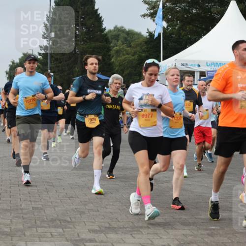 13.09.2026 - Kiel Lauf Andreas Tolksdorf http://msf.ph/oto/10353492 13.09.2026 09:57:08 Kiellinie 10720, 7925, 8977, 1336, 4712, 79, 143, 12778 meine-sportfotos.de