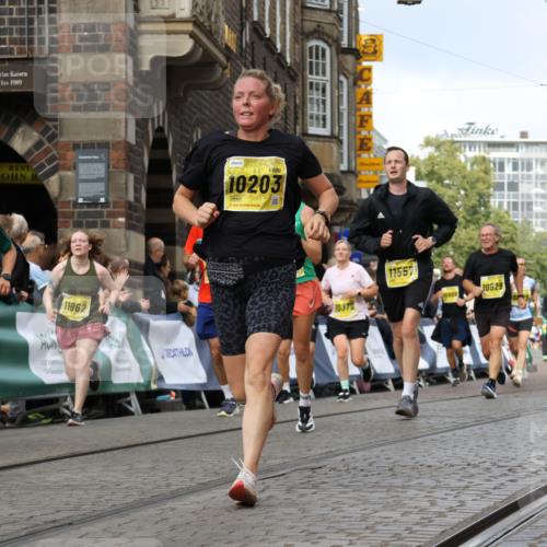 13.09.2026 - 21. swb-Marathon Bremen Strokosch-Dieckow http://msf.ph/oto/10353603 13.09.2026 10:55:43 Ziel 10203, 10256, 10725, 11014, 11414, 11466, 11631, 11748, 11910, 11941, 11977, 12030, 12201, 12218, 12258, 12348, 12549, 10374, 10690, 10703, 10952, 11972, 12061, 12108, 12143, 12484 meine-sportfotos.de