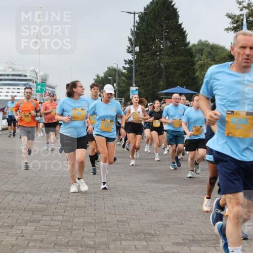 13.09.2026 - Kiel Lauf Andreas Tolksdorf http://msf.ph/oto/10355001 13.09.2026 09:58:05 Kiellinie 6602, 2357, 5992 meine-sportfotos.de
