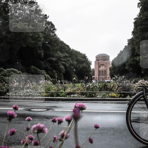 13.09.2026 - Stadtparktriathlon H.Heesch http://msf.ph/oto/10355285 13.09.2026 12:01:30 Radfahren 966, 1017, 1800 meine-sportfotos.de