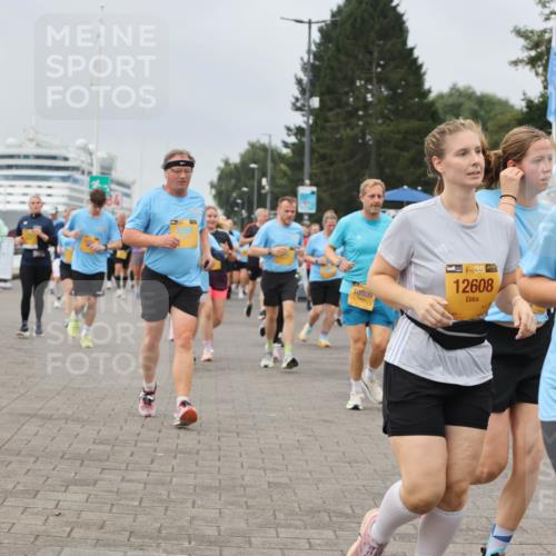 13.09.2026 - Kiel Lauf Andreas Tolksdorf http://msf.ph/oto/10356877 13.09.2026 09:59:27 Kiellinie 38, 10809, 12608, 38, 7053 meine-sportfotos.de