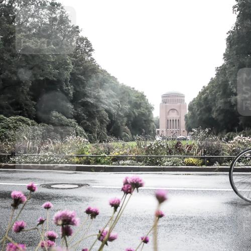 13.09.2026 - Stadtparktriathlon H.Heesch http://msf.ph/oto/10357576 13.09.2026 13:12:30 Radfahren 1205, 1241, 1257, 1271, 1413 meine-sportfotos.de