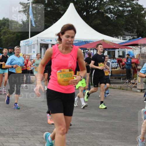 13.09.2026 - Kiel Lauf Andreas Tolksdorf http://msf.ph/oto/10357829 13.09.2026 10:00:15 Kiellinie 362, 3737, 39, 12603, 15, 9675, 4919, 12256 meine-sportfotos.de