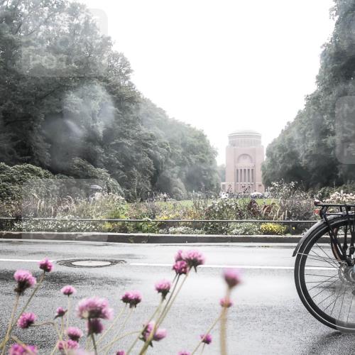 13.09.2026 - Stadtparktriathlon H.Heesch http://msf.ph/oto/10358127 13.09.2026 13:16:20 Radfahren 1097, 1263, 1264, 1351, 1383, 1437, 1457 meine-sportfotos.de