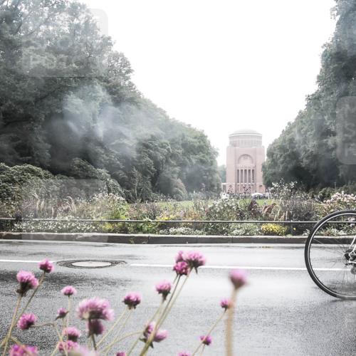 13.09.2026 - Stadtparktriathlon H.Heesch http://msf.ph/oto/10358504 13.09.2026 13:19:47 Radfahren 1348, 1373, 1409, 1448, 1458 meine-sportfotos.de