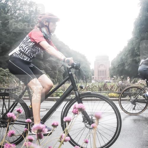 13.09.2026 - Stadtparktriathlon H.Heesch http://msf.ph/oto/10358548 13.09.2026 13:20:39 Radfahren 1293, 1322, 1333, 1401, 1430, 1505 meine-sportfotos.de