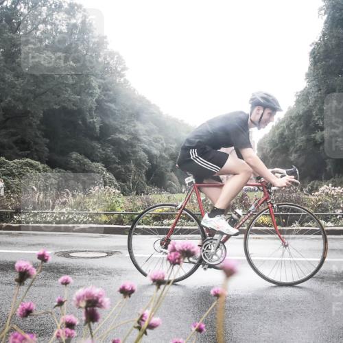 13.09.2026 - Stadtparktriathlon H.Heesch http://msf.ph/oto/10358581 13.09.2026 13:20:55 Radfahren 1346, 1377, 1378, 1436 meine-sportfotos.de