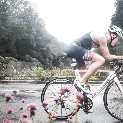 13.09.2026 - Stadtparktriathlon H.Heesch http://msf.ph/oto/10358678 13.09.2026 13:21:26 Radfahren 1341, 1407, 1461, 1473, 1482, 1519, 1521, 1526 meine-sportfotos.de