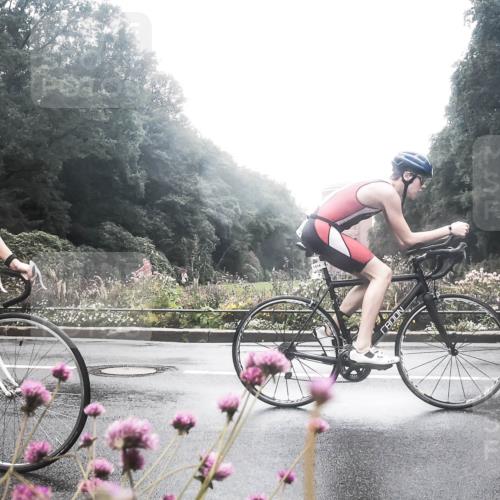 13.09.2026 - Stadtparktriathlon H.Heesch http://msf.ph/oto/10358710 13.09.2026 13:21:41 Radfahren 1344, 1408, 1511, 1514 meine-sportfotos.de