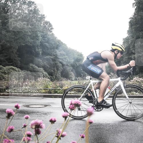 13.09.2026 - Stadtparktriathlon H.Heesch http://msf.ph/oto/10358878 13.09.2026 13:23:20 Radfahren 1379, 1447, 1457, 1524 meine-sportfotos.de