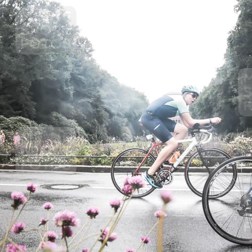 13.09.2026 - Stadtparktriathlon H.Heesch http://msf.ph/oto/10358943 13.09.2026 13:23:43 Radfahren 1286, 1317, 1434, 1525, 1529 meine-sportfotos.de