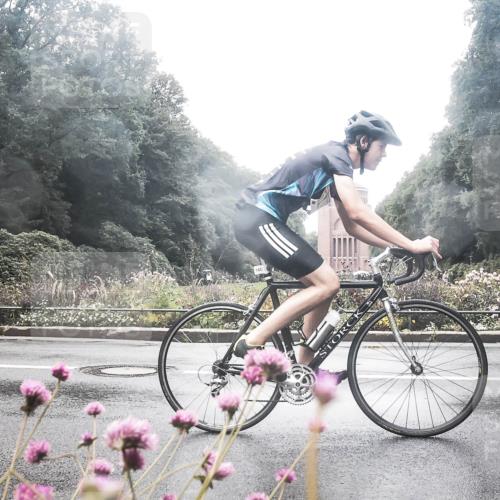 13.09.2026 - Stadtparktriathlon H.Heesch http://msf.ph/oto/10359875 13.09.2026 13:29:28 Radfahren 1212, 1386, 1406, 1430, 1453 meine-sportfotos.de