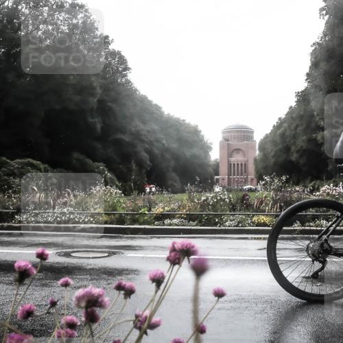 13.09.2026 - Stadtparktriathlon H.Heesch http://msf.ph/oto/10361190 13.09.2026 12:16:00 Radfahren 961, 1065 meine-sportfotos.de