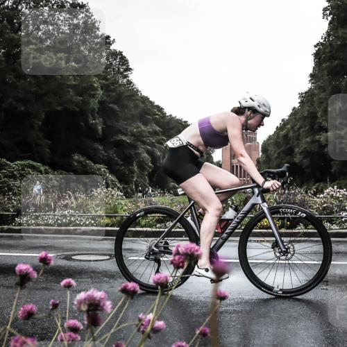 13.09.2026 - Stadtparktriathlon H.Heesch http://msf.ph/oto/10362654 13.09.2026 12:24:43 Radfahren 964, 995, 1166, 1170 meine-sportfotos.de