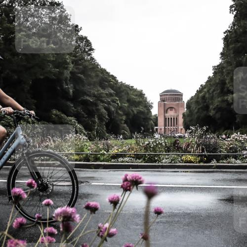 13.09.2026 - Stadtparktriathlon H.Heesch http://msf.ph/oto/10362799 13.09.2026 12:25:47 Radfahren 951, 981, 1097 meine-sportfotos.de