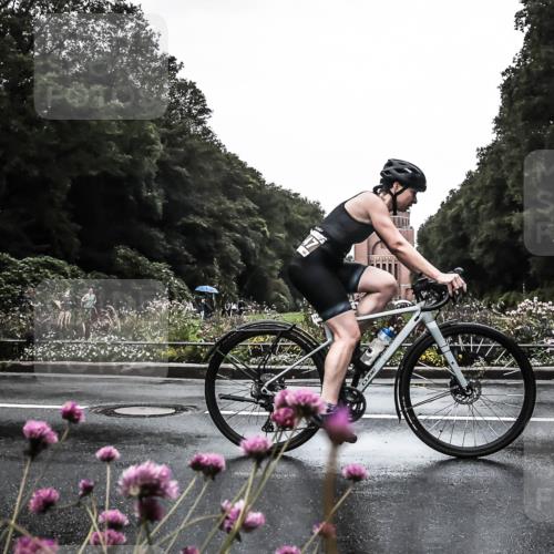 13.09.2026 - Stadtparktriathlon H.Heesch http://msf.ph/oto/10362924 13.09.2026 12:26:20 Radfahren 987, 1008, 1052, 1089, 1093, 1131, 1147, 1161 meine-sportfotos.de