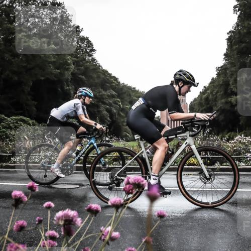 13.09.2026 - Stadtparktriathlon H.Heesch http://msf.ph/oto/10362939 13.09.2026 12:26:21 Radfahren 987, 1008, 1052, 1089, 1093, 1131, 1147, 1161 meine-sportfotos.de