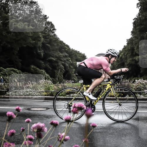 13.09.2026 - Stadtparktriathlon H.Heesch http://msf.ph/oto/10363030 13.09.2026 12:26:38 Radfahren 972, 980, 1159 meine-sportfotos.de