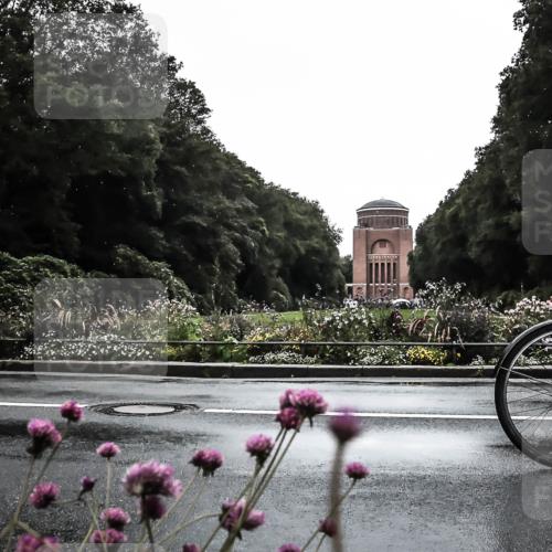 13.09.2026 - Stadtparktriathlon H.Heesch http://msf.ph/oto/10363532 13.09.2026 12:29:38 Radfahren 959, 1009, 1055, 1091, 1101, 1121 meine-sportfotos.de