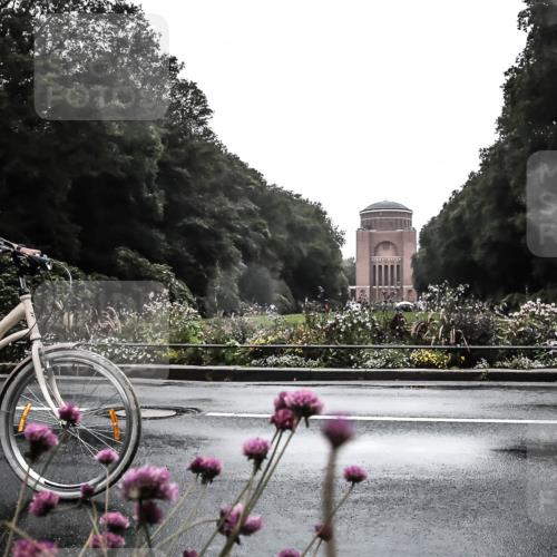 13.09.2026 - Stadtparktriathlon H.Heesch http://msf.ph/oto/10363802 13.09.2026 12:31:24 Radfahren 1082 meine-sportfotos.de