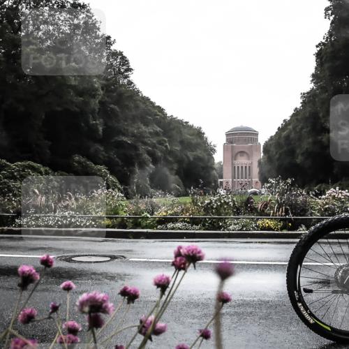 13.09.2026 - Stadtparktriathlon H.Heesch http://msf.ph/oto/10363867 13.09.2026 12:31:44 Radfahren 969, 1044, 1084, 1111, 1160 meine-sportfotos.de