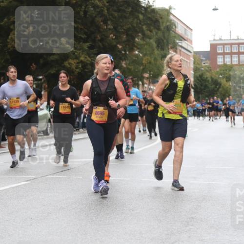 13.09.2026 - Kiel Lauf Markus Tischler http://msf.ph/oto/10364075 13.09.2026 11:58:11 Fleethörn 300, 11539, 11648, 38, 8695 meine-sportfotos.de
