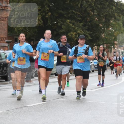 13.09.2026 - Kiel Lauf Markus Tischler http://msf.ph/oto/10364247 13.09.2026 11:59:07 Fleethörn 300, 6861, 8077, 12363, 5408, 3768 meine-sportfotos.de