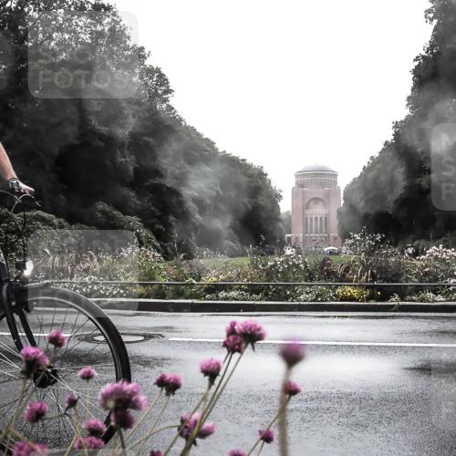 13.09.2026 - Stadtparktriathlon H.Heesch http://msf.ph/oto/10364450 13.09.2026 12:35:54 Radfahren 1052, 1065, 1075, 1112, 1181, 1301 meine-sportfotos.de