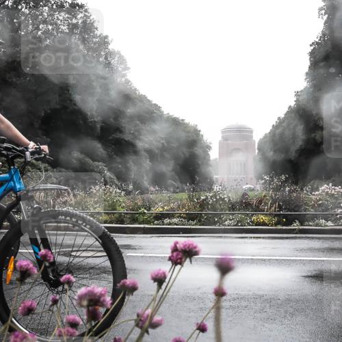 13.09.2026 - Stadtparktriathlon H.Heesch http://msf.ph/oto/10364663 13.09.2026 12:37:16 Radfahren 953, 1158, 1233, 1247, 1302 meine-sportfotos.de