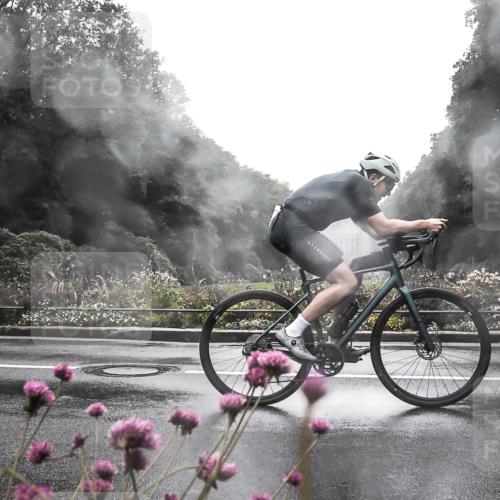 13.09.2026 - Stadtparktriathlon H.Heesch http://msf.ph/oto/10364778 13.09.2026 12:37:45 Radfahren 1149, 1267, 1270, 1298 meine-sportfotos.de