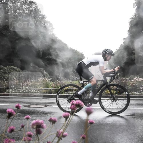 13.09.2026 - Stadtparktriathlon H.Heesch http://msf.ph/oto/10364786 13.09.2026 12:37:47 Radfahren 1149, 1256, 1267, 1270, 1298 meine-sportfotos.de